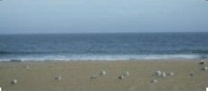 asbury park beach