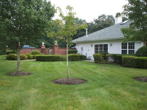 Hidden Meadows tpwnhouse for sale ocean nj